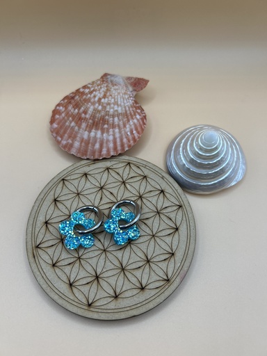 Boucle d'oreille a paillette argenté