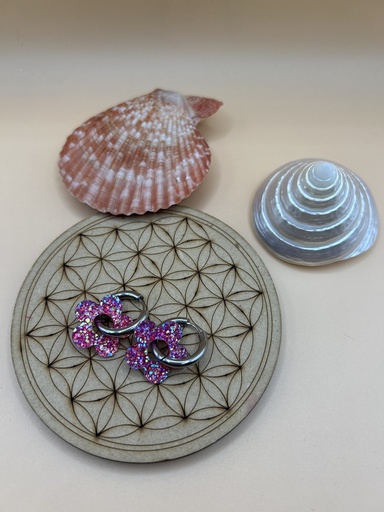 Boucle d'oreille a paillette argentée