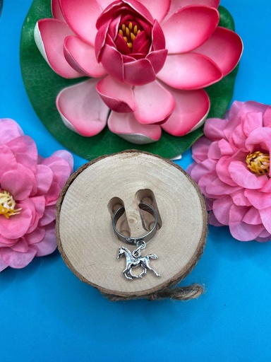 Bague western